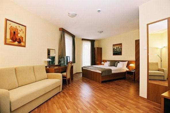 Panorama Wellness Apartman Hotel ハイデゥソボスロー 部屋 写真