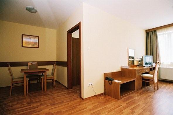Panorama Wellness Apartman Hotel ハイデゥソボスロー 部屋 写真