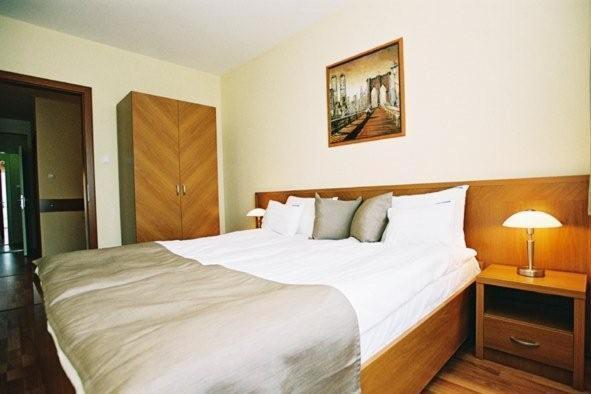 Panorama Wellness Apartman Hotel ハイデゥソボスロー 部屋 写真