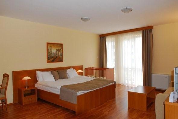Panorama Wellness Apartman Hotel ハイデゥソボスロー 部屋 写真