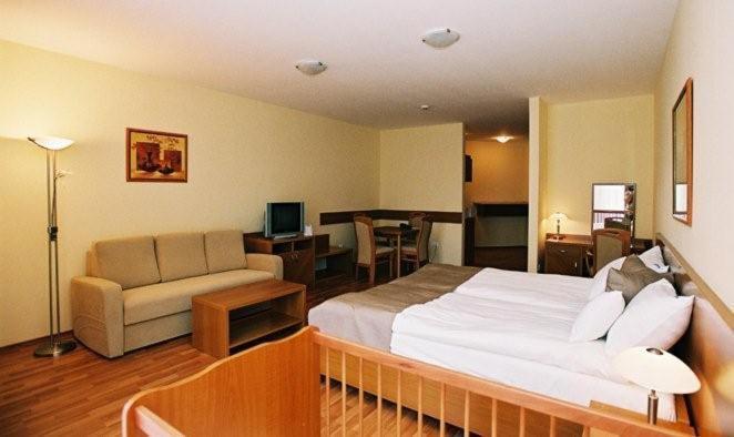 Panorama Wellness Apartman Hotel ハイデゥソボスロー 部屋 写真