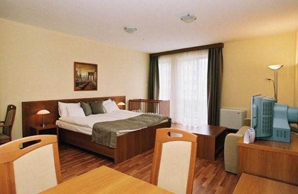 Panorama Wellness Apartman Hotel ハイデゥソボスロー 部屋 写真